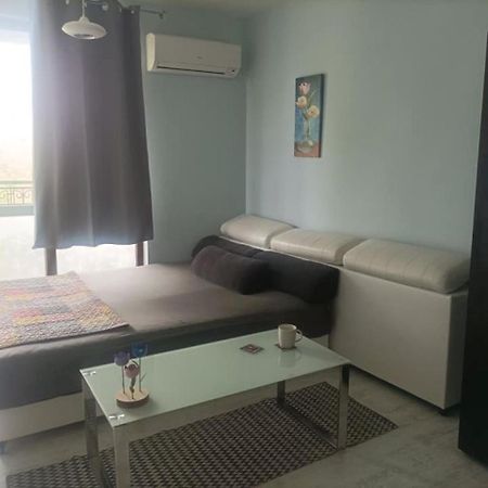 Central Studio Maritsa Apartman Plovdiv Kültér fotó